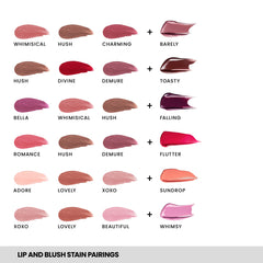 Lip and Blush Stain Set